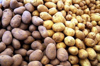Patates’in fiyatı vatandaşı sevindirdi