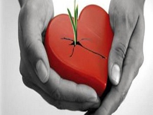 Organ bağışını alacak merkez yok