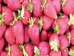 Tuz yerine çay ve çilek!