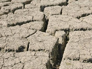 Türkiye, en sert kuraklıklardan birini yaşıyor