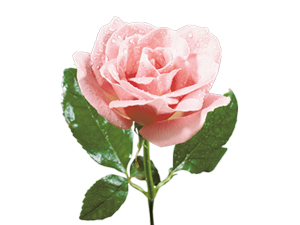 Hoşlanmadığın bir rüya görünce sol tarafına üç defa tükür