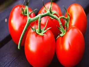 Kasası 10 kuruşa kadar düştü