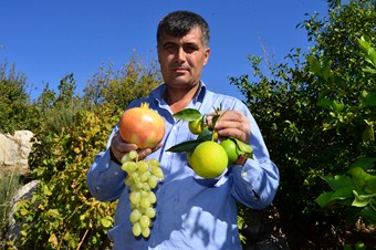 Keben köyünde dört mevsim meyve hasat ediliyor