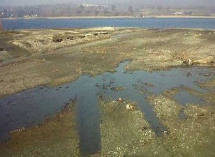Sapanca Gölü için dernek kuruldu