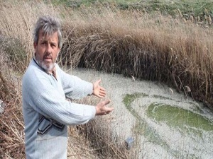 Manyas Gölü'nde tehlike