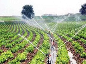 Hangi tarla ne kadar su ve gübre istiyor belirlenecek