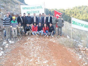 Baraj altında kalacak sığır kuyruğu bitkisi koruma altına alındı