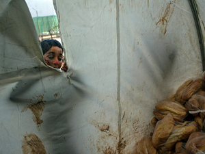 Dünya Gıda Programı’ndan Suriye için acil çağrı