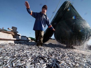 Hamside ikinci bahar yaşanıyor