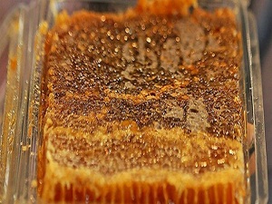 Faydaları saymakla bitmiyor