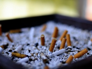 Her yıl 6 milyon kişi