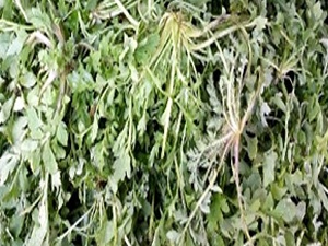 Yemeği de yapılıyor!