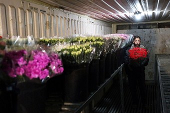 Müslüman olmayanlarla barış nasıl ve hangi şartlarda yapılabilir?