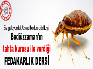 Bediüzzaman tahta kurusu ile fedakarlık dersi verdi