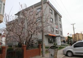 Balıkesir’de Badem Ağaçları Çiçek Açtı