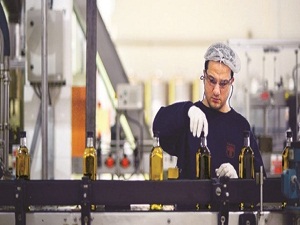 Rekolte düşünce sahtecilik arttı