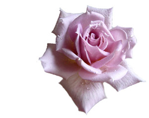 İmanınızda şüphe varlığını hissettiren ifade kullanmayın