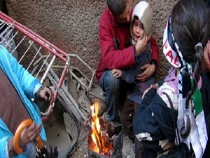 Yermuk'ta ot toplamaya bile izin yok