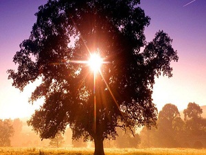 İlk cemre yarın havaya düşüyor