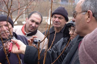 Başkentli çiftçilere meyvecilik eğitimi verilecek