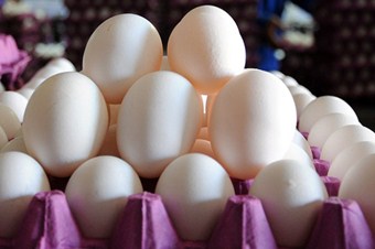 Tavuk eti ve yumurta üretimi arttı