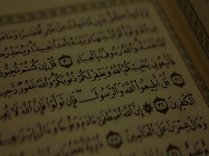 Doğrusu sen gerçekten apaçık bir azgınsın!