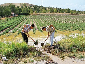 ‘Türkiye tarımda yağmur suyuna bağımlı’