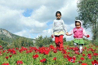 Baharı müjdeleyen ilk cemre düştü