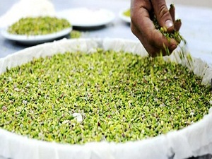 Tarihinin en yüksek seviyesine çıktı