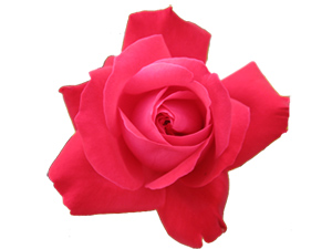 Kabalık uğursuzluk, yumuşaklık ise uğurdur