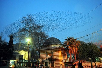 Tarihi ilçedeki tekkeler restore ediliyor