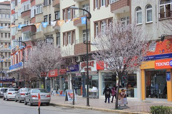 Bafra’da ağaçlar beyaza büründü