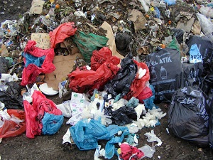 Doğu Marmara'dan tonlarca tıbbi atık toplandı