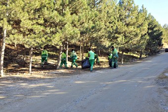Mamak Belediyesi'nden orman temizliği