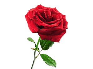 Kulağınız çınladığında salavat getirip şunu deyin