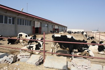 Kırsal kalkınma projesi kapsamında tesis kurdu