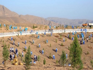 Türkmenistan'da çöller yeşeriyor