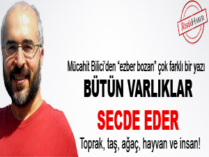 Bütün varlıklar secde eder