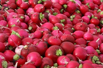 Ses kısıklığına kırmızı turp