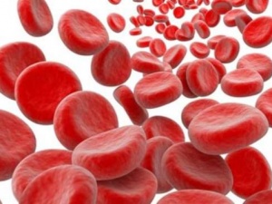 Türk Kızılayının 2016 hedefi, 80 bin kök hücre bağışı