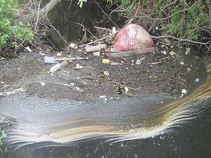 Fransa'da kirli su alarmı