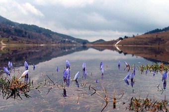İkinci cemre suya düştü