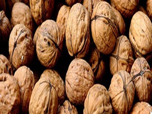 Çözüm süreciyle ceviz üretimi artacak