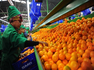 İşte geçen ayın zam şampiyonu!