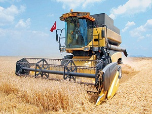 UHK Başkanı Yılmazkart: Hububat üretimi yüzde 14 düşecek