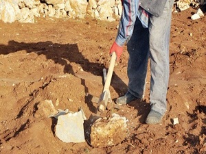 Silahlar sustu, güneydoğuya bereket geldi