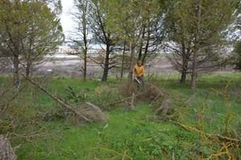 Balıkesir Üniversitesi'ne botanik bahçesi yapılacak