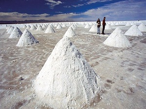 Aşırı tuz gölü bitirdi