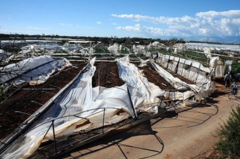 Antalya'da hortum seralara zarar verdi