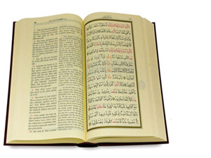 Rabbimiz! Biz nasıl azdıksa, onları da öyle azdırdık